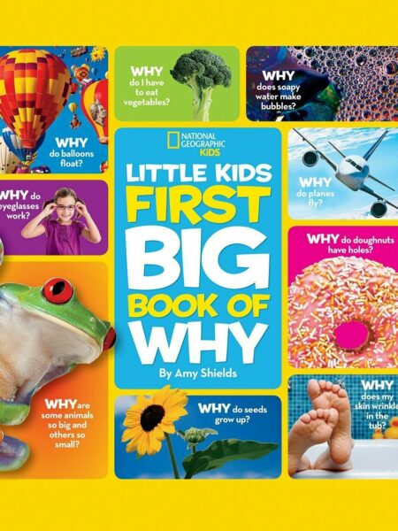 NG Little Kids First Big Book of Why
