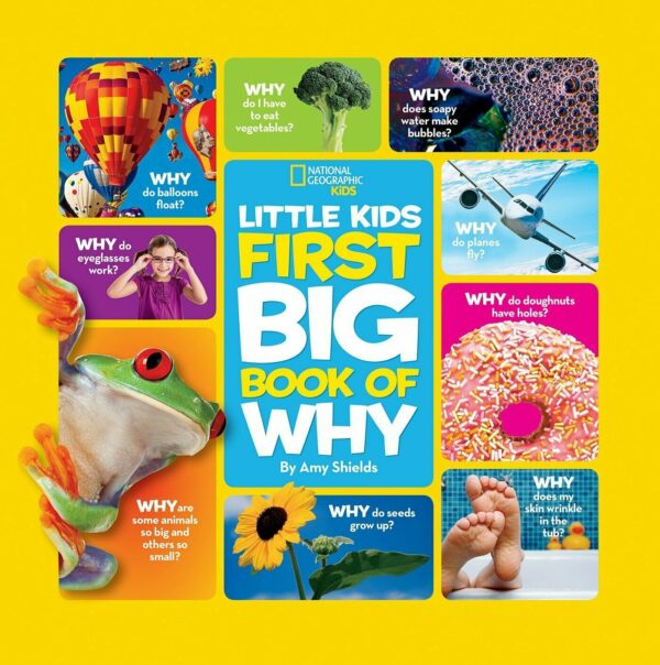 NG Little Kids First Big Book of Why