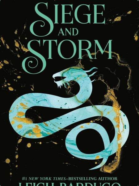 Siege and Storm: Book 2 (Shadow and Bone)