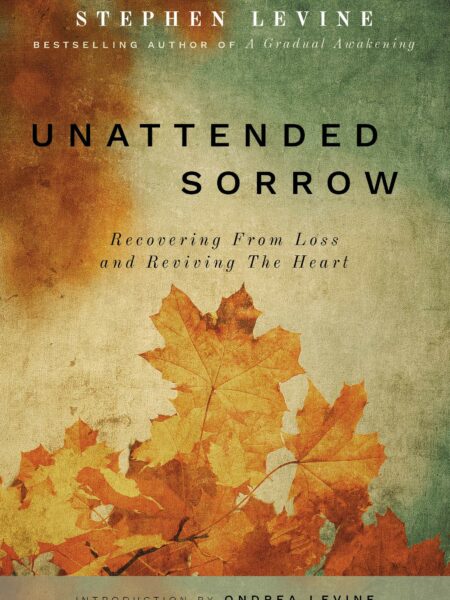 Unattended Sorrow: Recovering from Loss and Reviving the Heart