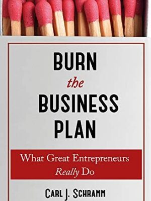 Burn The Business Plan