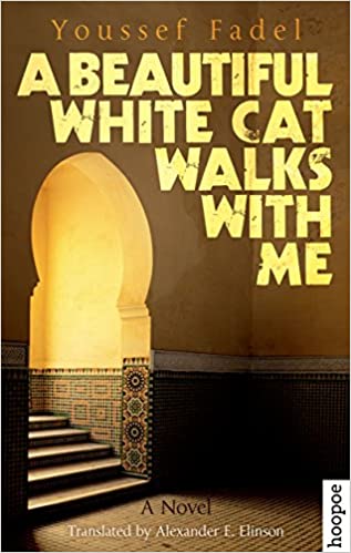 Beautiful White Cat Walks with