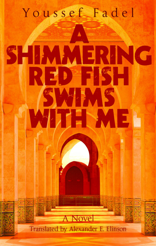 Shimmering Red Fish Swims with