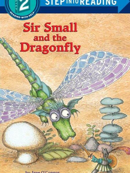 Sir Small And The Dragonfly