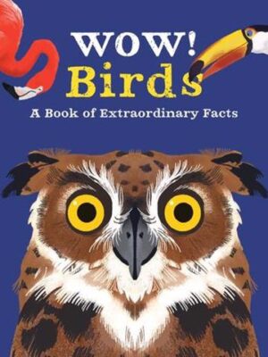 Wow Birds