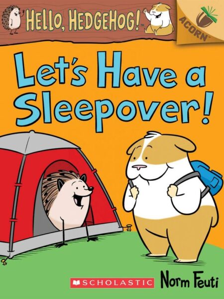 Let's Have a Sleepover