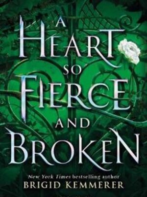 Heart So Fierce and Broken