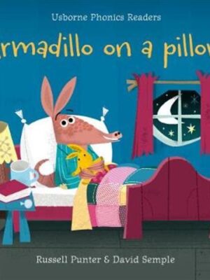 Armadillo on a Pillow