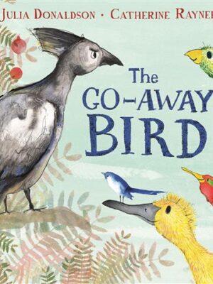 Go-Away Bird