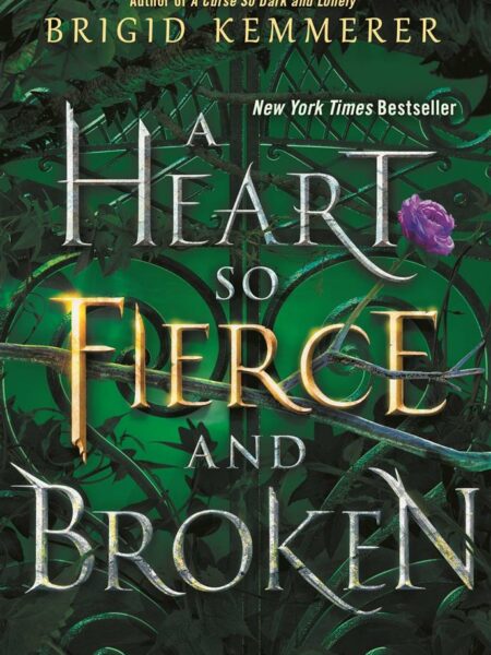 Heart So Fierce and Broken
