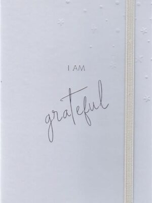 Adults Beige Stars Journal
