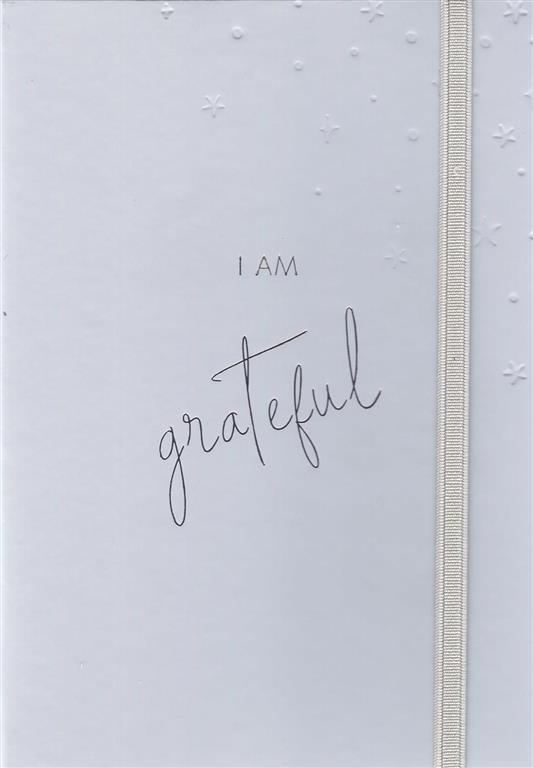 Adults Beige Stars Journal