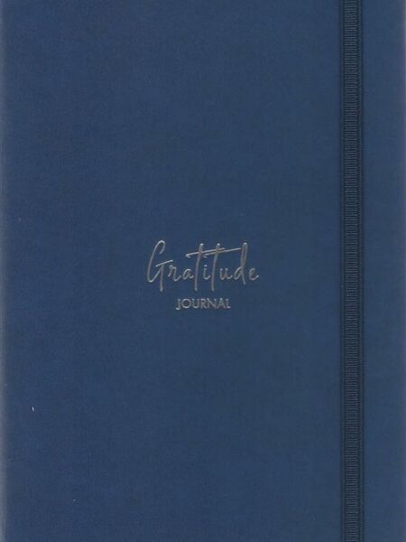 Adult Blue Journal