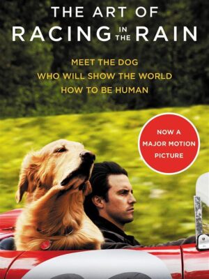 Art of Racing in the Rain