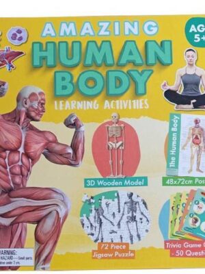 Amazing Activity Set Human Bo