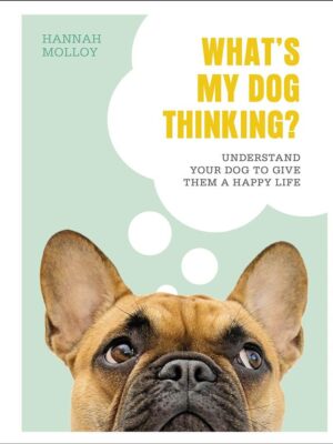 What's My Dog Thinking