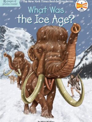 What Was the Ice Age