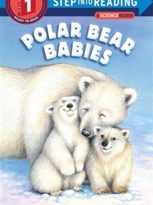 Polar Bear Babies