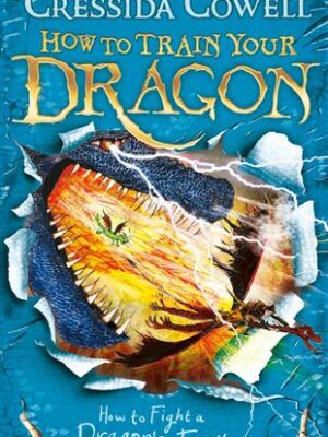 How To Train Your Dragon 12 How to fight a dragon's fury