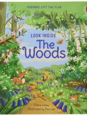Look Inside The Woods