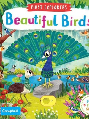 Beautiful Birds