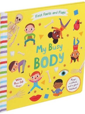 First Facts and Flaps My Busy Body