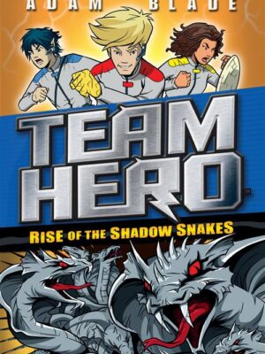 Team Hero Rise of the Shadow S