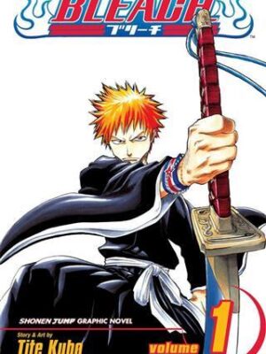 Bleach Vol. 1