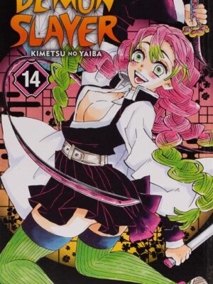 Demon Slayer Kimetsu no Yaiba