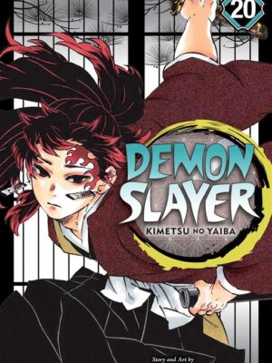 Demon Slayer Kimetsu no Yaiba
