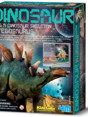 Stegosaurus Skeleton Excavatio