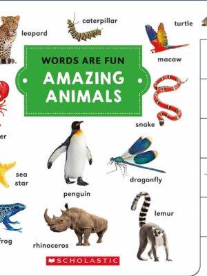 Amazing Animals