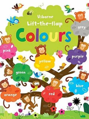 Lift the Flap Colours Book
