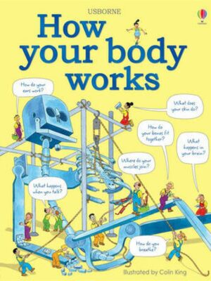 How Your Body Works