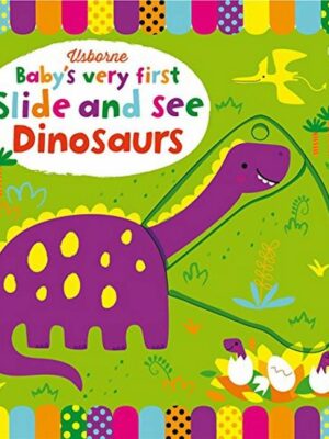 Baby's Very First Slide and Se