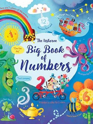 Big Book of Numbers