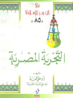التجربة المصرية