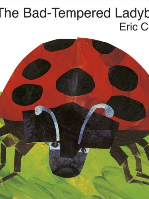 Bad-Tempered Ladybird