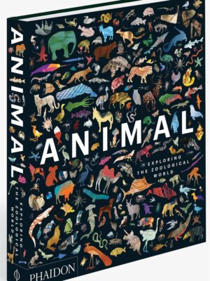 Animal Exploring the Zoologic