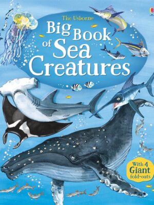 Big Book of Sea Creatures