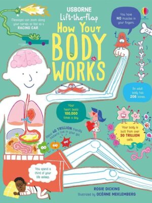 Lift the Flap How Your Body Wo