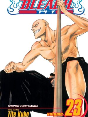 Bleach 23