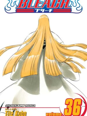 Bleach 36