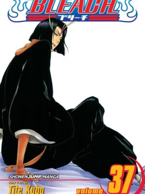Bleach 37
