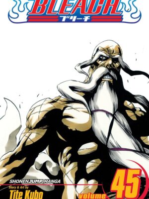 Bleach 45