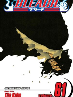 Bleach 61