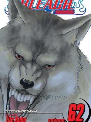 Bleach 62