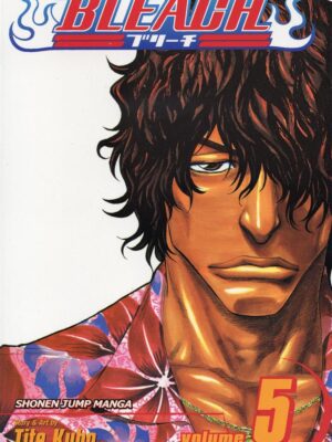 Bleach 5