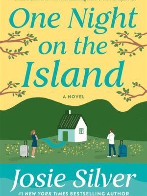 One Night on the Island