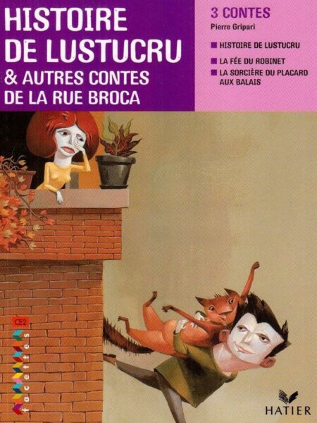 Facettes Bibliothèque CE2 - Hi